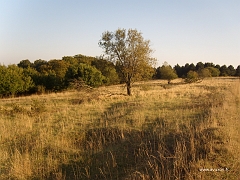 Le plateau sommital est cerné par la forêt qui forme une barrière continue